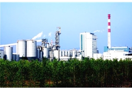 東莞理文造紙廠(chǎng)